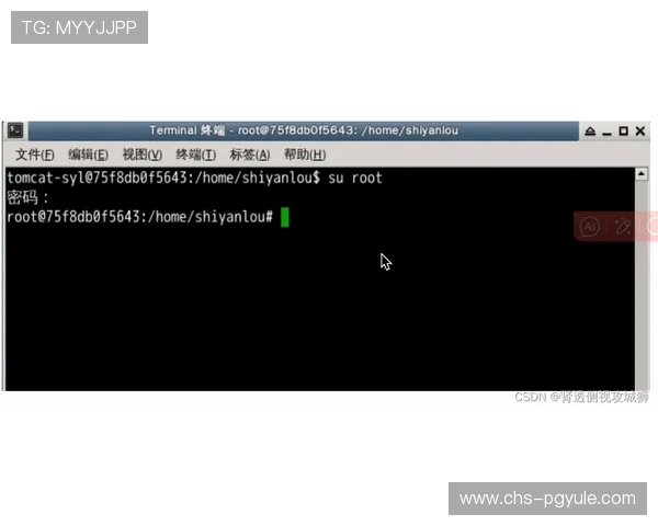 pgfnet官网最新资讯与官方资源全面介绍